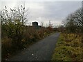 Clyde Walkway opposite Carmyle