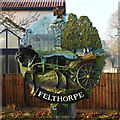 TG1617 : Felthorpe village sign by Adrian S Pye