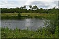 Openwater Swimmers, Jubilee River