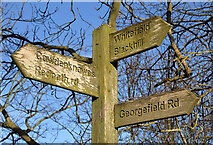NT5837 : An Earlston Paths Route signpost by Walter Baxter