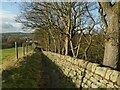 Path along the edge of farmland above Gill Brow