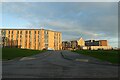 Road between Langwith and Constantine Colleges