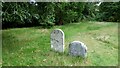 ST9800 : Animal graves at Kingston Lacy by Sandy Gerrard