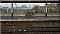 J3473 : Platform, Belfast Lanyon Place Station by Rossographer