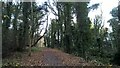 Trans Pennine Trail approaching Sheffield 35A Business Park