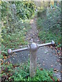 An old iron bollard in Great Elm