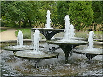 TL4557 : Fountain at path junction, Cambridge University Botanical Garden by Ruth Sharville