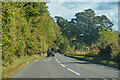 NZ0614 : Egglestone : Road by Lewis Clarke