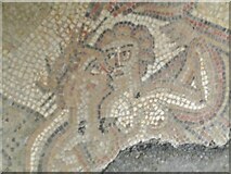 SP0513 : Chedworth - Roman Villa - Mosaic by Colin Smith