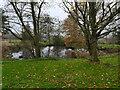 Pond opposite Swan Farm