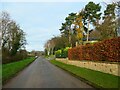 Northgate Lane, heading north-west out of Linton