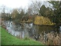 Low Flush [the village pond], Sicklinghall