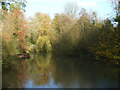 The view from Elm Lane bridge