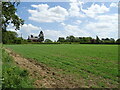 Crop field off Cow Lane