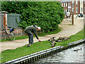 Feeding the ducks and geese near Kidderminster