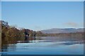 NS3890 : Loch Lomond east of Inchmoan by Richard Webb