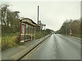 Bus stops on Whitehall Road