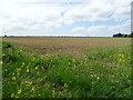 Field, Ranby 