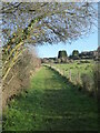 Public footpath alongside Ronskwood Hill Meadows