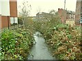 Wortley Beck behind the Health Centre