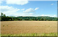 Cereal crop towards Valleyfield