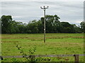 Grazing of Fleetham Lane