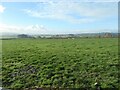 Farmland west of Swindon Grange Farm