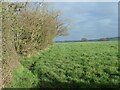 Public footpath to Kirkby Overblow