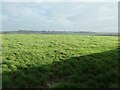 Farmland north of Swindon Grange Farm