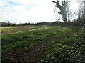 Permissive field-edge footpath off Crabtree Lane