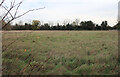 TL4066 : Field off Mills Lane, Longstanton by Hugh Venables