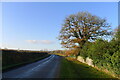 TL0296 : King's Cliffe Road passing Willowbrook Lodge by Tim Heaton
