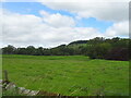 Grazing, Swaledale