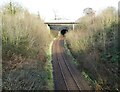 Holywell railway tunnel