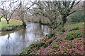 Llwybr glanafon / Riverside path