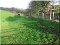 Footpath to Playford Bridge