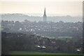 SU1630 : Distant view of Salisbury and the cathedral by David Martin