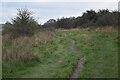 Path on Cockey Down