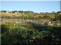 Allotments near Bleadon