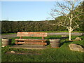 A bench on Roman Road