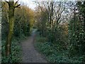 Railway path north-east from Radcliffe Lane 