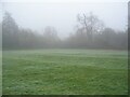 Mist and frost, Tutbury Fields