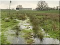 Flooded farmland