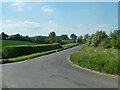 SP3312 : Crawley - Leafield road by Robin Webster
