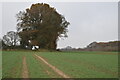 Footpath across field north of Down Farm