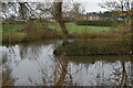 Pond at Upham Farm