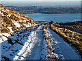 NR8374 : Looking down the Meall MÃ²r road towards Loch Fyne by Patrick Mackie