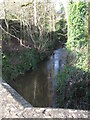 The Babylon Brook in Chew Stoke