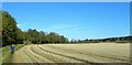 Path along field edge, Howick