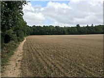 SU5849 : Copse Ground Field (10 acres) & Small's Copse by Mr Ignavy